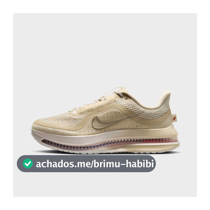 Tenis Nike Pegasus Premium Feminino