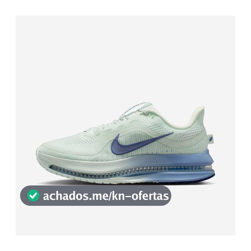 Tênis Nike Pegasus Premium Feminino