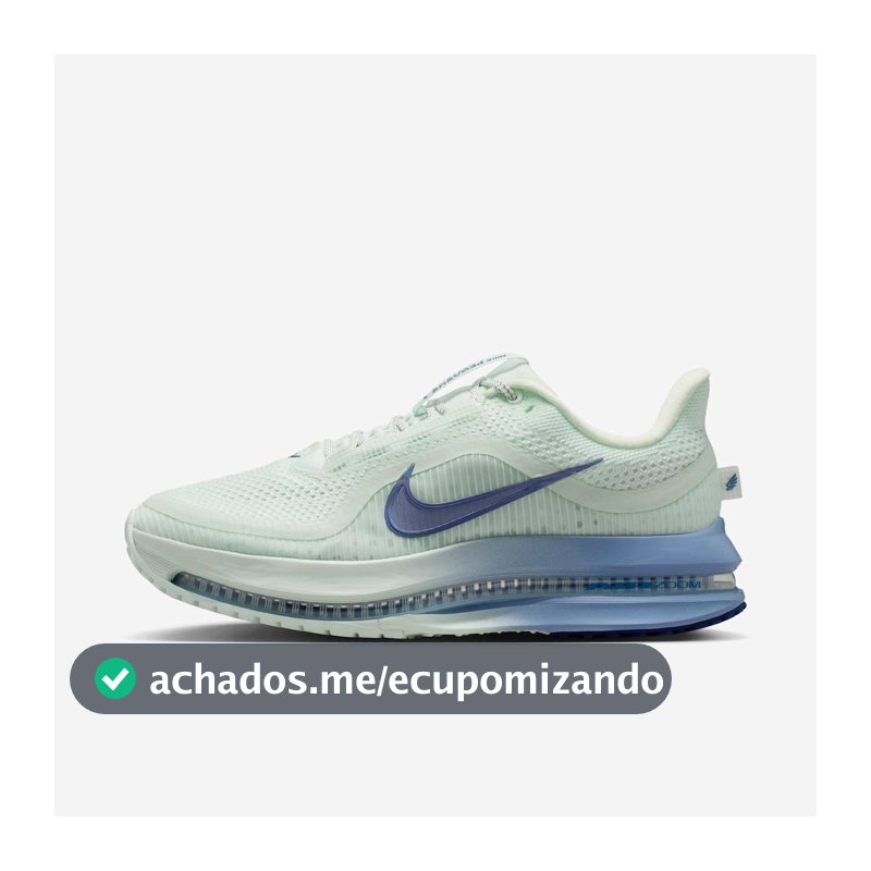 Tênis Nike Pegasus Premium Feminino