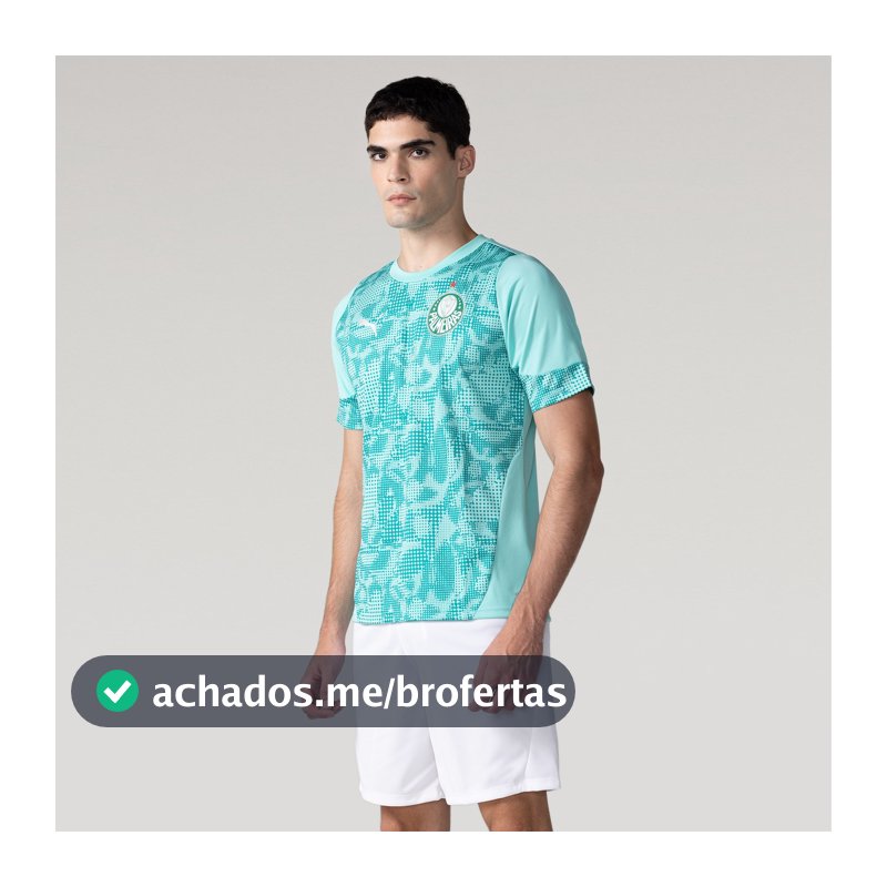 Camisa do Palmeiras 2026/27 Puma Treino Masculina em Promoção