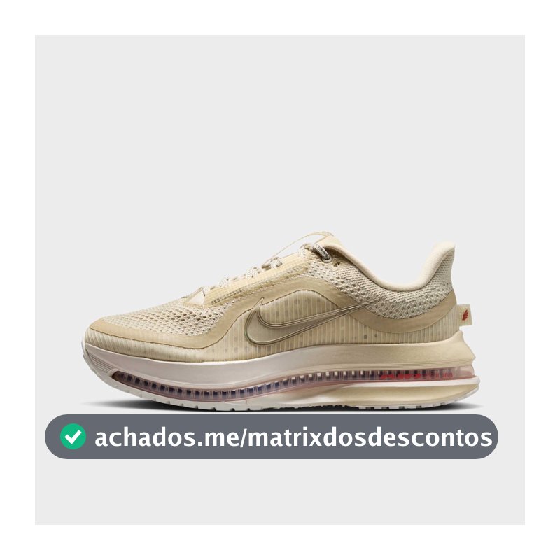 Tenis Nike Pegasus Premium Feminino