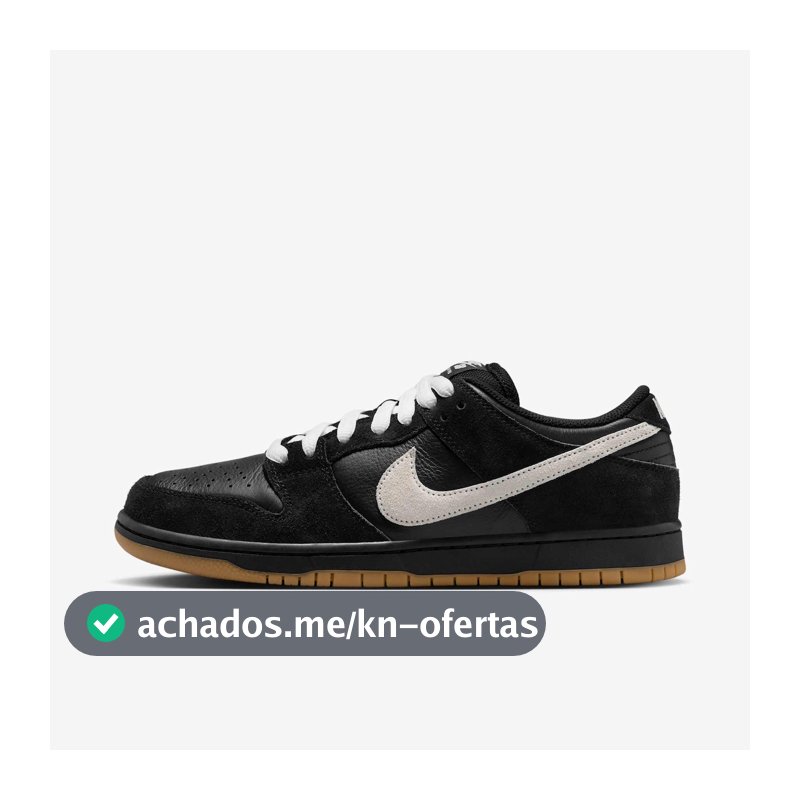 SB Dunk Low Pro
