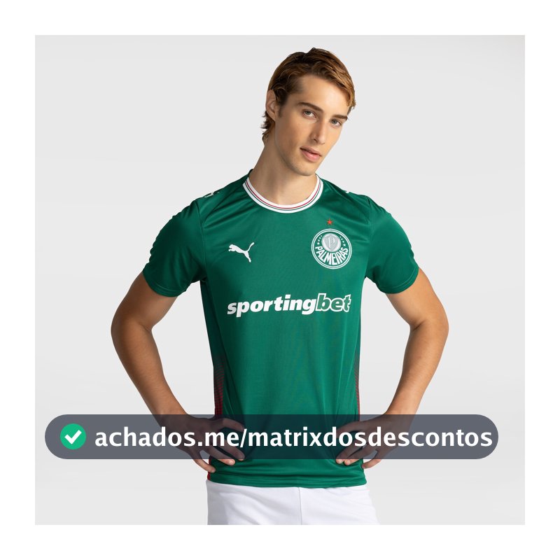 Camisa Do Palmeiras I 2026 Puma Torcedor Masculina