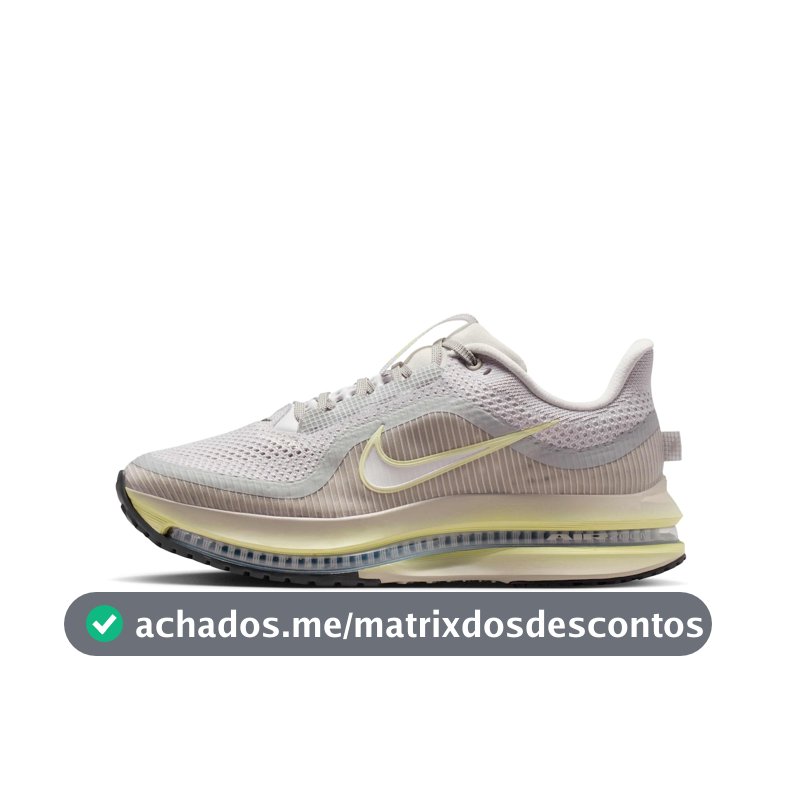 Tenis Nike Pegasus Premium Feminino