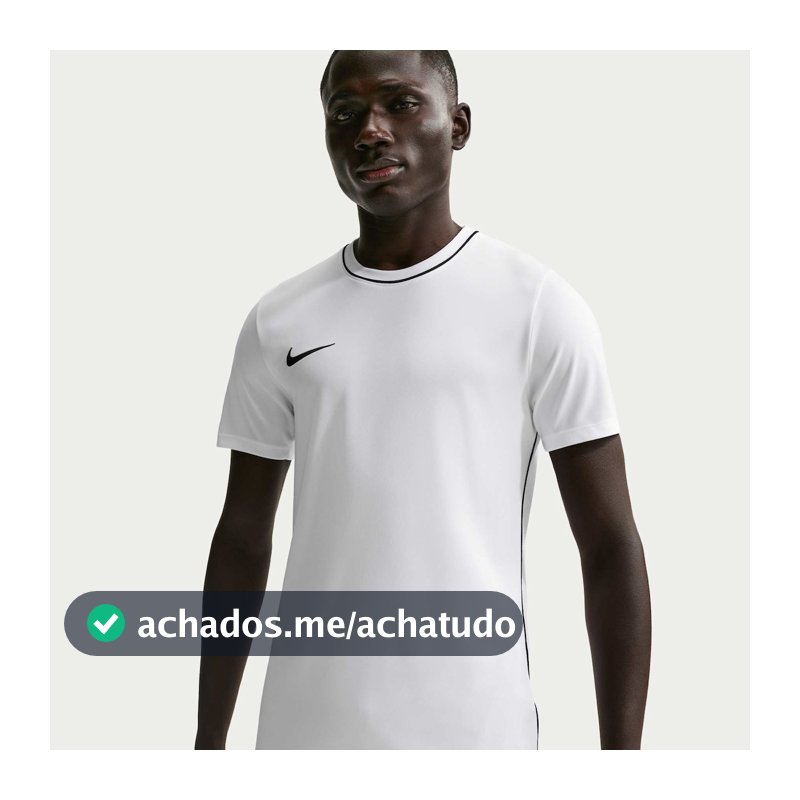 Camiseta Dri Fit Nike Park Masculina